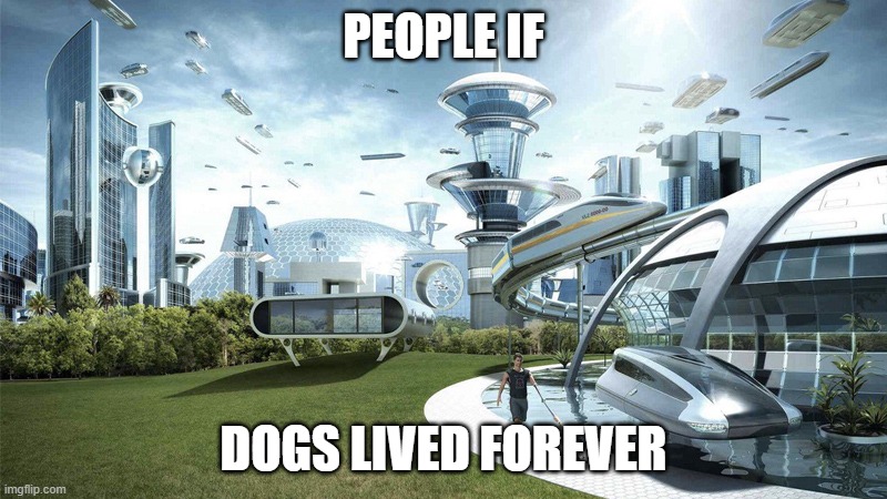 In the future someone will probably make the first immortal dog | PEOPLE IF; DOGS LIVED FOREVER | image tagged in humanity | made w/ Imgflip meme maker