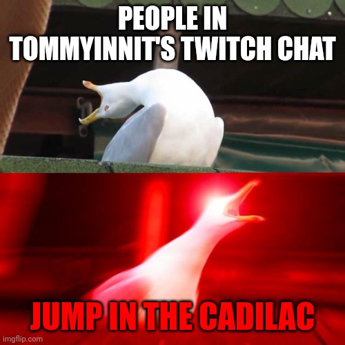 GIRL LET'S PUT SOME MILES ON IT | PEOPLE IN TOMMYINNIT'S TWITCH CHAT; JUMP IN THE CADILAC | image tagged in inhales seagull | made w/ Imgflip meme maker