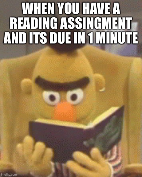 sesame street bert book |  WHEN YOU HAVE A READING ASSINGMENT AND ITS DUE IN 1 MINUTE | image tagged in sesame street bert book | made w/ Imgflip meme maker