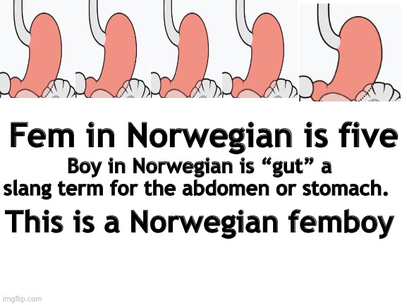 Blank White Template | Fem in Norwegian is five; Boy in Norwegian is “gut” a slang term for the abdomen or stomach. This is a Norwegian femboy | image tagged in blank white template | made w/ Imgflip meme maker
