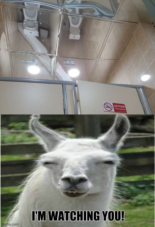 Mirrors on bathroom ceiling | image tagged in hey you,yes i can see you,mhm,hmm,muhaha | made w/ Imgflip meme maker