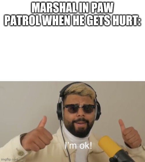 I’m ok! (Help) |  MARSHAL IN PAW PATROL WHEN HE GETS HURT: | image tagged in i m ok help | made w/ Imgflip meme maker