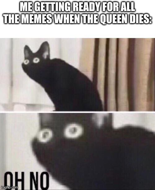 the queen | ME GETTING READY FOR ALL THE MEMES WHEN THE QUEEN DIES: | image tagged in oh no cat,memes | made w/ Imgflip meme maker