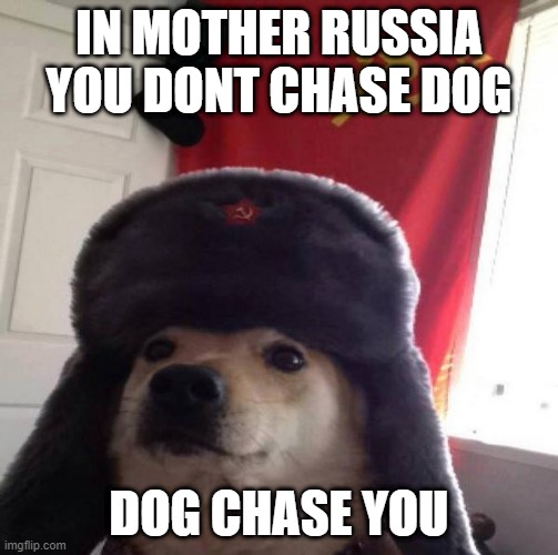 Russian Doge |  IN MOTHER RUSSIA YOU DONT CHASE DOG; DOG CHASE YOU | image tagged in russian doge | made w/ Imgflip meme maker