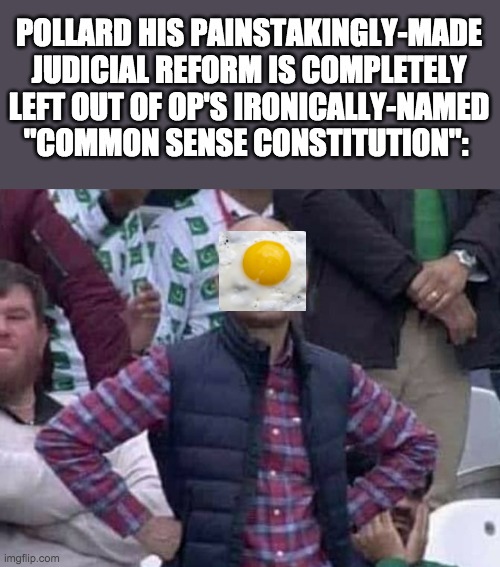 It's awful how the LA are hating on Pollard just because he refused to betray the RUP. His contributions are being ignored. | POLLARD HIS PAINSTAKINGLY-MADE JUDICIAL REFORM IS COMPLETELY LEFT OUT OF OP'S IRONICALLY-NAMED "COMMON SENSE CONSTITUTION": | image tagged in justice,for,pollard,best,hoc,ever | made w/ Imgflip meme maker