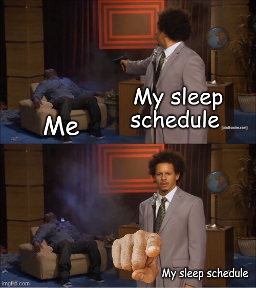 I seriously go to sleep at two in the morning | My sleep schedule; Me; My sleep schedule | image tagged in memes,who killed hannibal | made w/ Imgflip meme maker