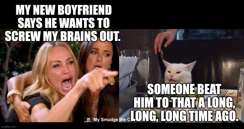  MY NEW BOYFRIEND SAYS HE WANTS TO SCREW MY BRAINS OUT. SOMEONE BEAT HIM TO THAT A LONG, LONG, LONG TIME AGO. | image tagged in smudge the cat | made w/ Imgflip meme maker