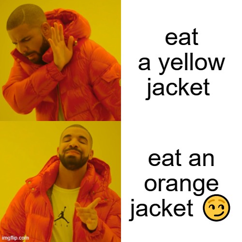 Drake Hotline Bling | eat a yellow jacket; eat an orange jacket 😏 | image tagged in memes,drake hotline bling | made w/ Imgflip meme maker