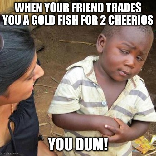 Third World Skeptical Kid | WHEN YOUR FRIEND TRADES YOU A GOLD FISH FOR 2 CHEERIOS; YOU DUM! | image tagged in memes,third world skeptical kid | made w/ Imgflip meme maker