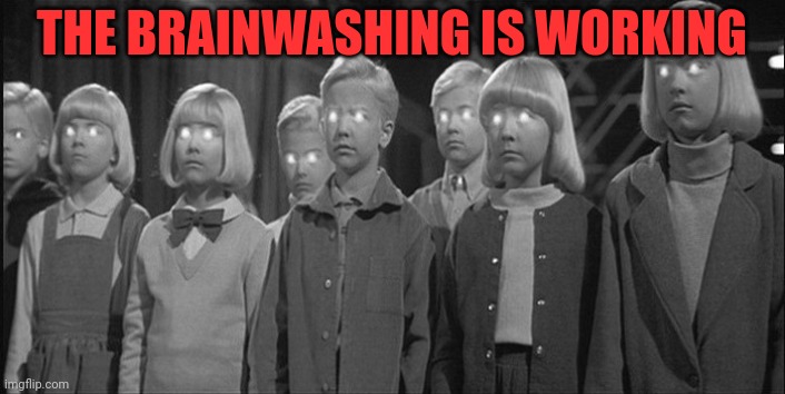 brainwashed | THE BRAINWASHING IS WORKING | image tagged in brainwashed | made w/ Imgflip meme maker
