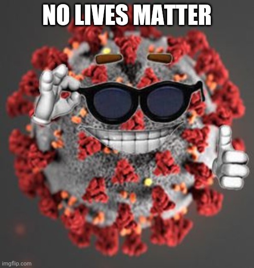 Coronavirus | NO LIVES MATTER | image tagged in coronavirus | made w/ Imgflip meme maker