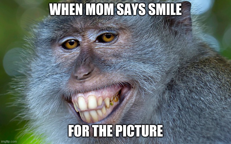 smile | WHEN MOM SAYS SMILE; FOR THE PICTURE | image tagged in monkey,picture | made w/ Imgflip meme maker