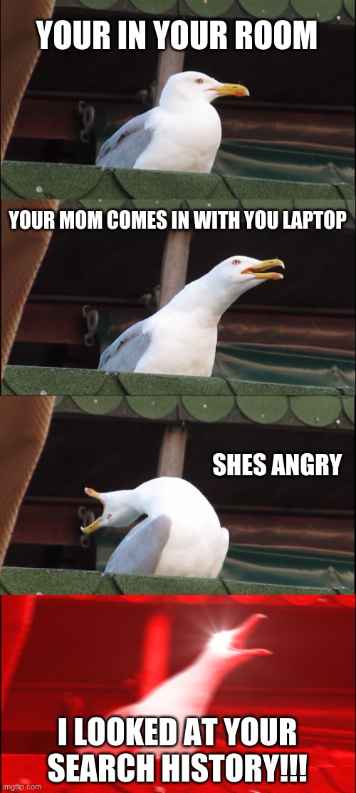 uh oh | YOUR IN YOUR ROOM; YOUR MOM COMES IN WITH YOU LAPTOP; SHES ANGRY; I LOOKED AT YOUR SEARCH HISTORY!!! | image tagged in memes,inhaling seagull | made w/ Imgflip meme maker