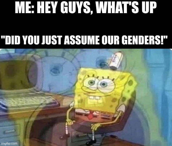 Sponge bob screaming internally | ME: HEY GUYS, WHAT'S UP; "DID YOU JUST ASSUME OUR GENDERS!" | image tagged in sponge bob screaming internally | made w/ Imgflip meme maker