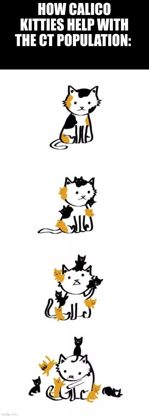 Its cute. | HOW CALICO KITTIES HELP WITH THE CT POPULATION: | image tagged in cat | made w/ Imgflip meme maker