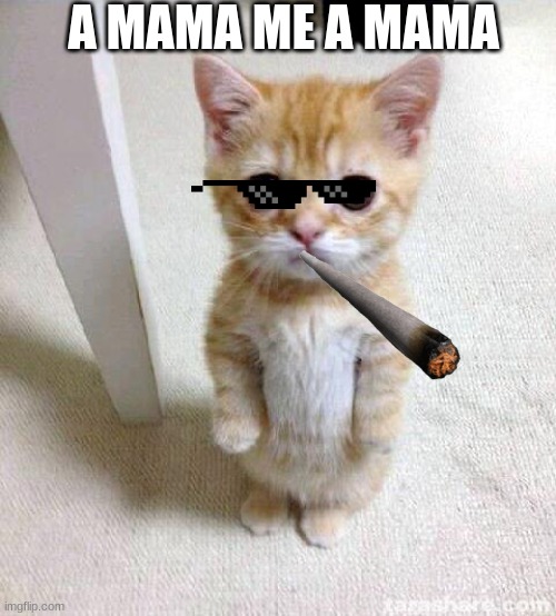 Cute Cat | A MAMA ME A MAMA | image tagged in memes,cute cat | made w/ Imgflip meme maker