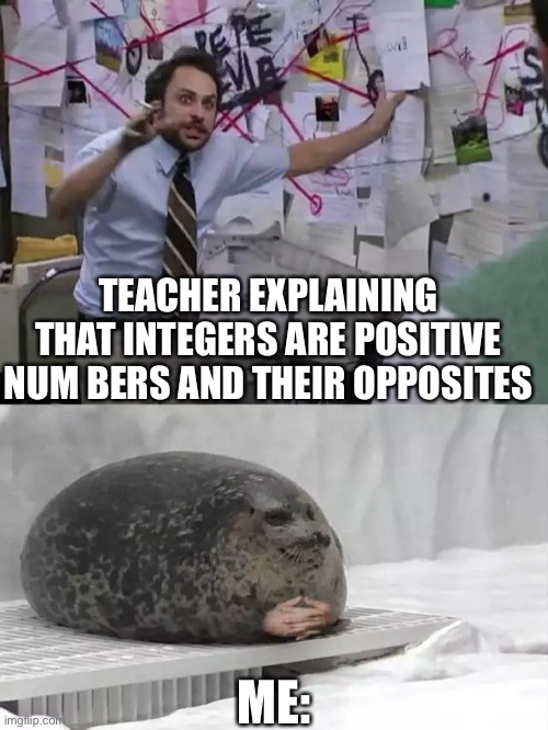 Man explaining to seal | TEACHER EXPLAINING THAT INTEGERS ARE POSITIVE NUM BERS AND THEIR OPPOSITES; ME: | image tagged in man explaining to seal | made w/ Imgflip meme maker