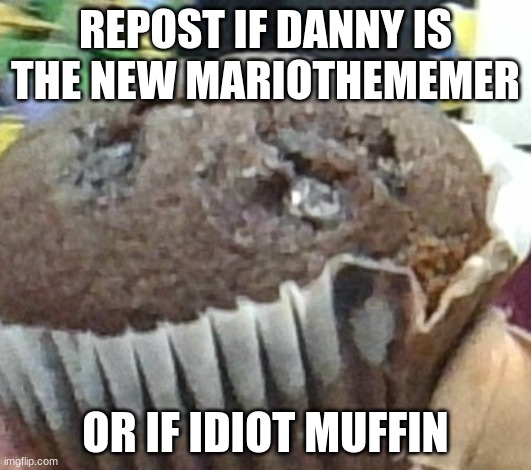 eruygyeryerer | REPOST IF DANNY IS THE NEW MARIOTHEMEMER; OR IF IDIOT MUFFIN | made w/ Imgflip meme maker