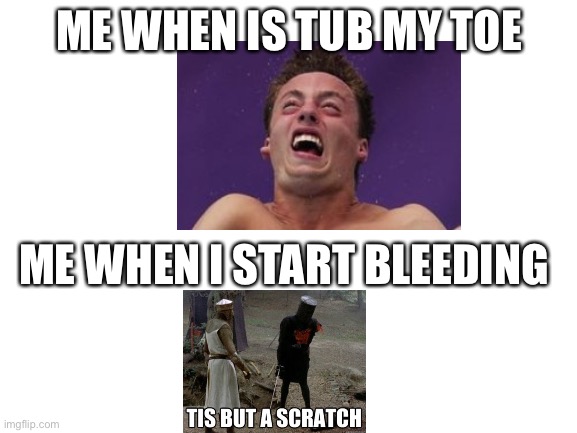 Blank White Template | ME WHEN IS TUB MY TOE; ME WHEN I START BLEEDING | image tagged in blank white template | made w/ Imgflip meme maker