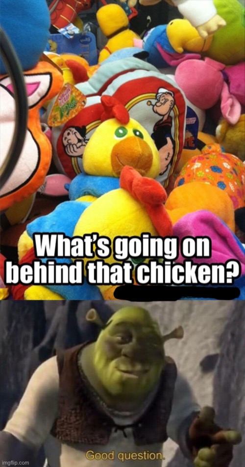 Funny question asked | image tagged in shrek good question,funny,memes,chicken,popeye,dank memes | made w/ Imgflip meme maker