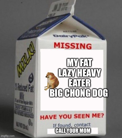 Missing | MY FAT LAZY HEAVY EATER BIG CHONG DOG; CALL YOUR MOM | image tagged in milk carton | made w/ Imgflip meme maker