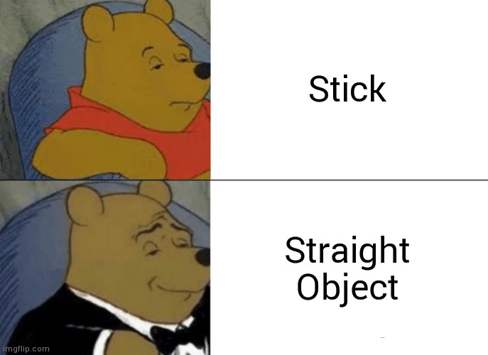 Stick | Stick; Straight Object | image tagged in memes,tuxedo winnie the pooh | made w/ Imgflip meme maker