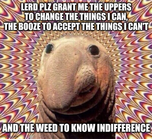 And the psychedelics that I may better know you | LERD PLZ GRANT ME THE UPPERS TO CHANGE THE THINGS I CAN, THE BOOZE TO ACCEPT THE THINGS I CAN'T; AND THE WEED TO KNOW INDIFFERENCE | image tagged in drugs | made w/ Imgflip meme maker