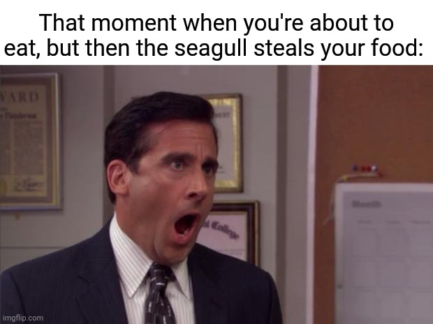 Seagull ruined the fun of the food | That moment when you're about to eat, but then the seagull steals your food: | image tagged in noooooo,seagull,seagulls,eating,memes,meme | made w/ Imgflip meme maker