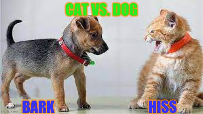 Cat vs. dog | CAT VS. DOG; BARK                                   HISS | image tagged in funny | made w/ Imgflip meme maker