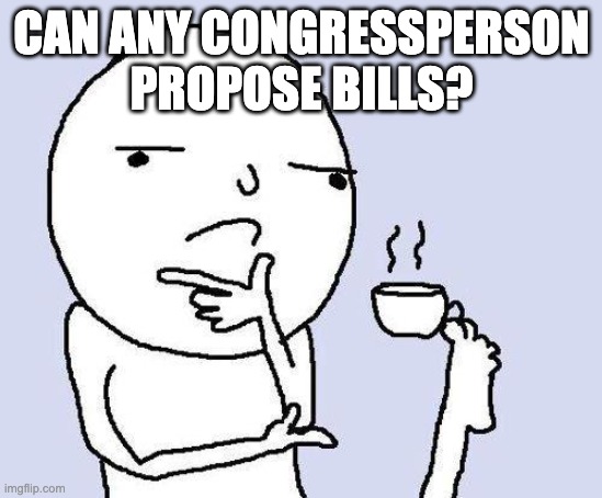 thinking meme | CAN ANY CONGRESSPERSON PROPOSE BILLS? | image tagged in thinking meme | made w/ Imgflip meme maker