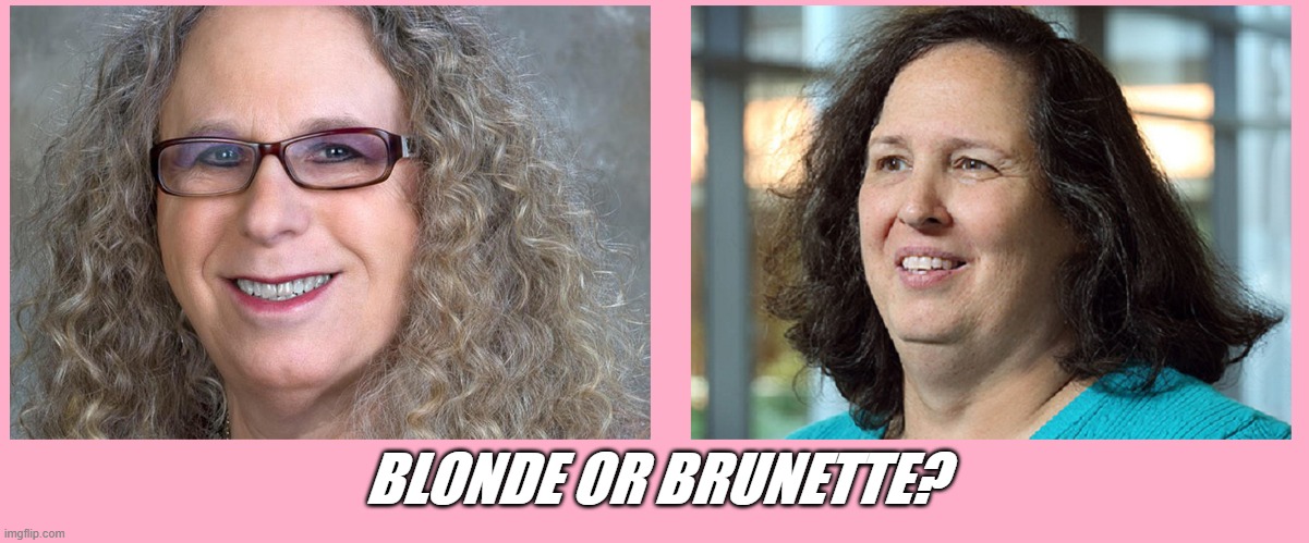 BLONDE OR BRUNETTE? | made w/ Imgflip meme maker