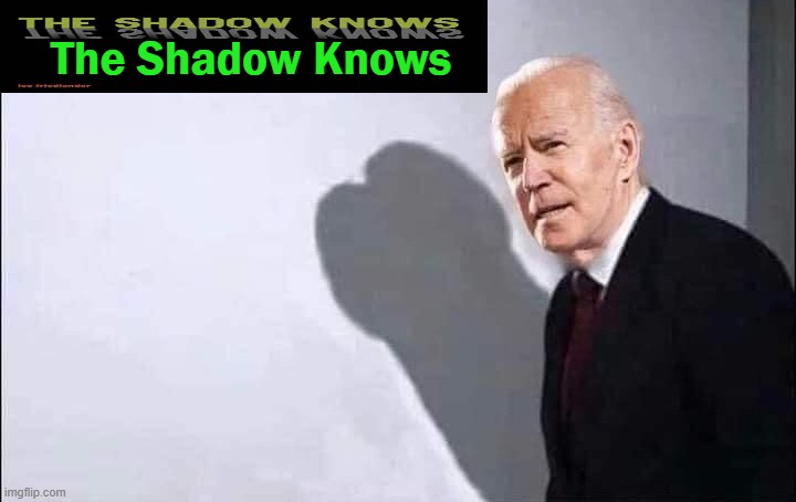 Even Though Leftist Democrats Won't Admit It! | The Shadow Knows | image tagged in politics,joe biden,what you see is what you get,the truth hurts,fake president,puppet prez | made w/ Imgflip meme maker