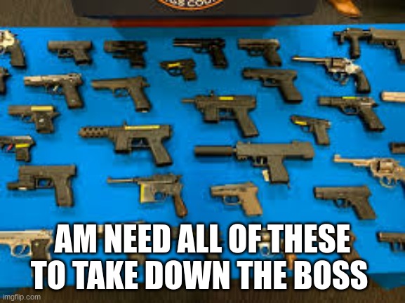 guns | AM NEED ALL OF THESE TO TAKE DOWN THE BOSS | image tagged in guns | made w/ Imgflip meme maker