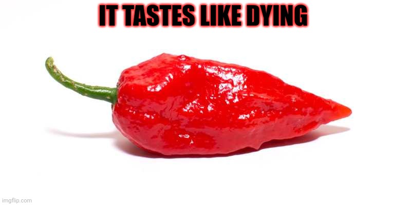 Ghost Pepper | IT TASTES LIKE DYING | image tagged in ghost pepper | made w/ Imgflip meme maker