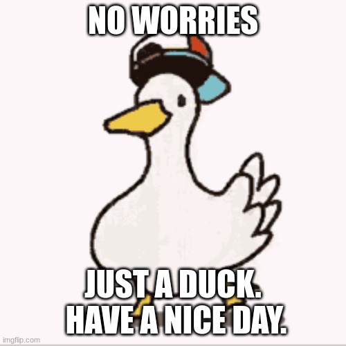 A wholesome One! | NO WORRIES; JUST A DUCK.  HAVE A NICE DAY. | image tagged in wait a second this is wholesome content,duck,dancing | made w/ Imgflip meme maker