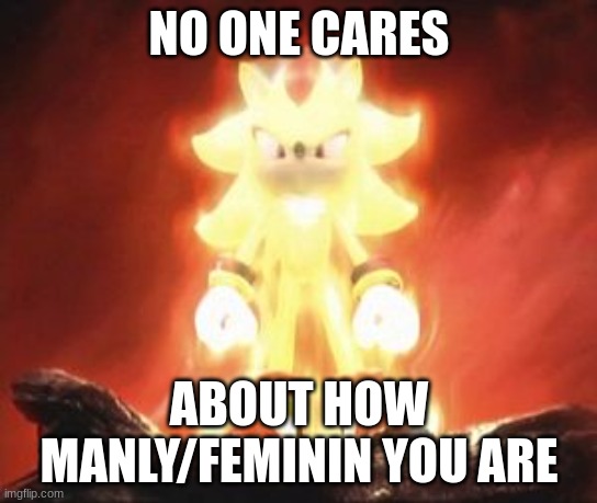 Super Shadow | NO ONE CARES; ABOUT HOW MANLY/FEMININ YOU ARE | image tagged in super shadow | made w/ Imgflip meme maker