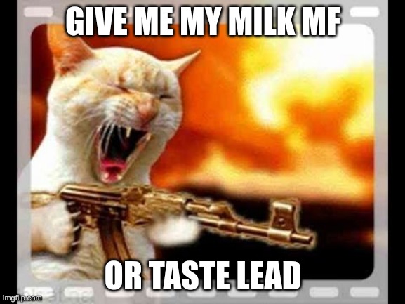 yes speed cat | GIVE ME MY MILK MF; OR TASTE LEAD | image tagged in cat with gun | made w/ Imgflip meme maker