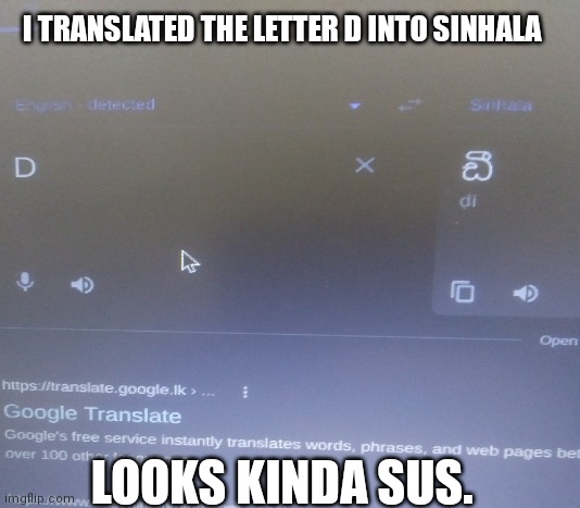 Translated to Sinhala | I TRANSLATED THE LETTER D INTO SINHALA; LOOKS KINDA SUS. | image tagged in funny,among us | made w/ Imgflip meme maker