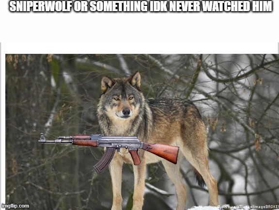 Sniperwolf or something idk never watched him | SNIPERWOLF OR SOMETHING IDK NEVER WATCHED HIM | image tagged in white background,wolf,sniper,idk,youtuber,youtube | made w/ Imgflip meme maker