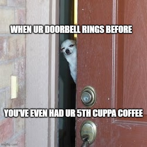 Suspicious Chihuahua |  WHEN UR DOORBELL RINGS BEFORE; YOU'VE EVEN HAD UR 5TH CUPPA COFFEE | image tagged in suspicious chihuahua | made w/ Imgflip meme maker
