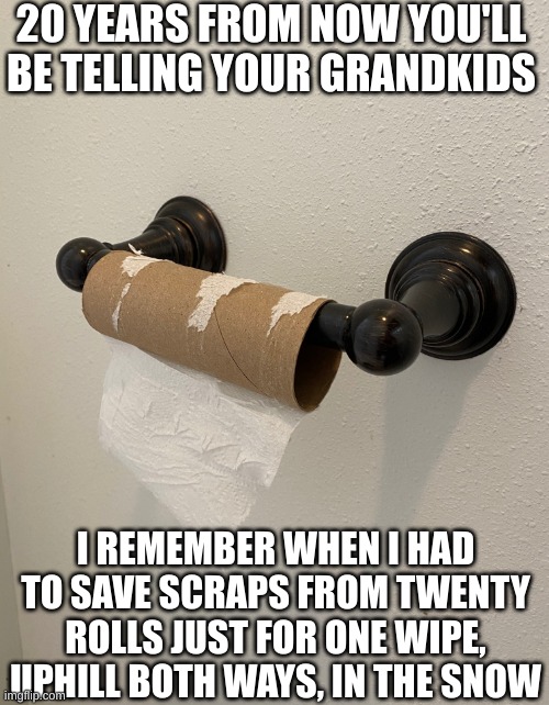 old story for new times | 20 YEARS FROM NOW YOU'LL BE TELLING YOUR GRANDKIDS; I REMEMBER WHEN I HAD TO SAVE SCRAPS FROM TWENTY ROLLS JUST FOR ONE WIPE, UPHILL BOTH WAYS, IN THE SNOW | image tagged in toilet paper | made w/ Imgflip meme maker