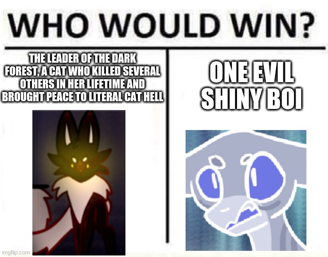 who would win | ONE EVIL SHINY BOI; THE LEADER OF THE DARK FOREST, A CAT WHO KILLED SEVERAL OTHERS IN HER LIFETIME AND BROUGHT PEACE TO LITERAL CAT HELL | image tagged in who would win | made w/ Imgflip meme maker