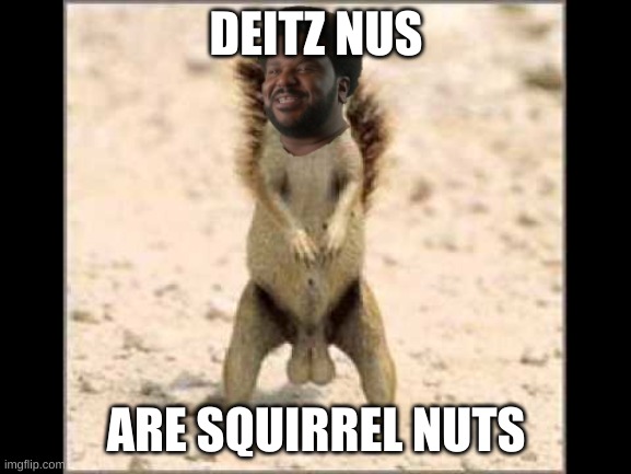 Dietz nuts! | DEITZ NUS; ARE SQUIRREL NUTS | image tagged in how about dietz nuts | made w/ Imgflip meme maker