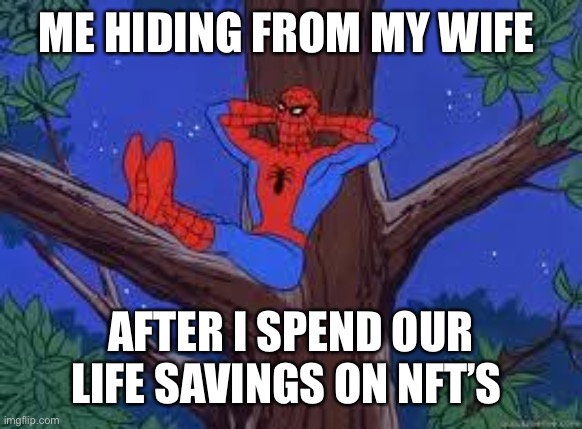spiderman tree | ME HIDING FROM MY WIFE; AFTER I SPEND OUR LIFE SAVINGS ON NFT’S | image tagged in spiderman tree | made w/ Imgflip meme maker