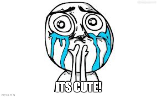 Crying Because Of Cute Meme | ITS CUTE! | image tagged in memes,crying because of cute | made w/ Imgflip meme maker