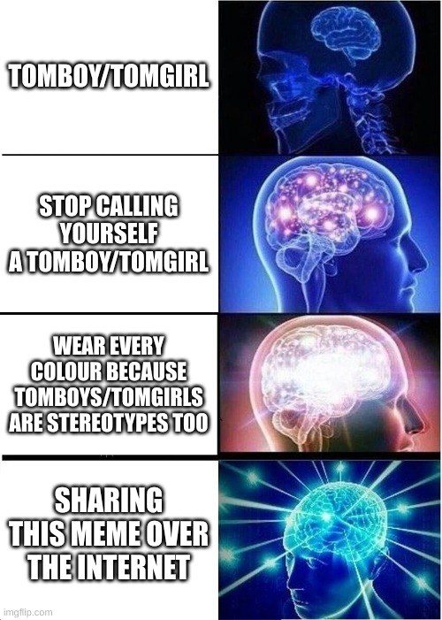 Stop Calling Them Tomboys/Tomgirls | TOMBOY/TOMGIRL; STOP CALLING YOURSELF A TOMBOY/TOMGIRL; WEAR EVERY COLOUR BECAUSE TOMBOYS/TOMGIRLS ARE STEREOTYPES TOO; SHARING THIS MEME OVER THE INTERNET | image tagged in memes,expanding brain | made w/ Imgflip meme maker