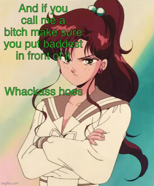If you call me a bitch | And if you call me a bitch make sure you put baddest in front of it; Whackass hoes | image tagged in sailor moon,jupiter,bitch | made w/ Imgflip meme maker
