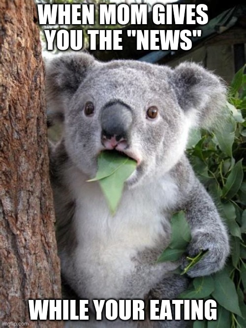 oh no | WHEN MOM GIVES YOU THE "NEWS"; WHILE YOUR EATING | image tagged in suprised koala,today was a good day | made w/ Imgflip meme maker