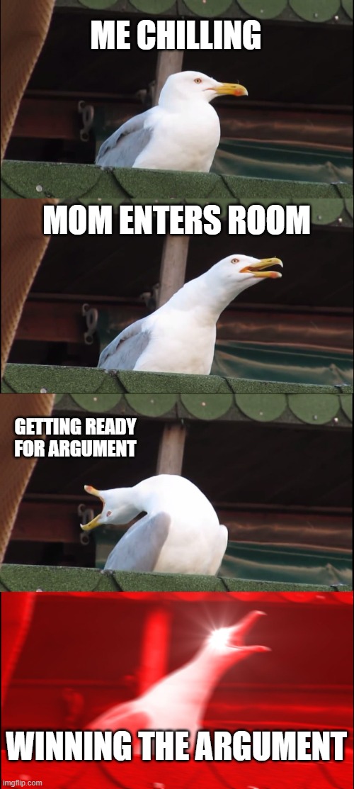 Inhaling Seagull Meme | ME CHILLING; MOM ENTERS ROOM; GETTING READY FOR ARGUMENT; WINNING THE ARGUMENT | image tagged in memes,inhaling seagull | made w/ Imgflip meme maker
