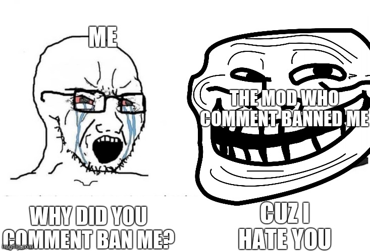 ME; THE MOD WHO COMMENT BANNED ME; CUZ I HATE YOU; WHY DID YOU COMMENT BAN ME? | made w/ Imgflip meme maker